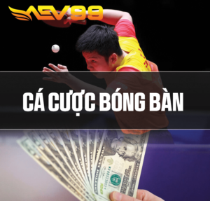 Cá cược bóng bàn tại AEV99